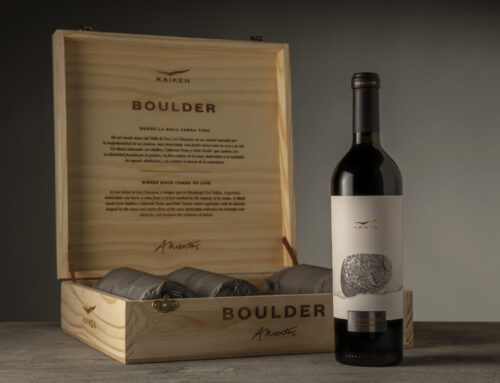 Kaiken Boulder: Cuando la Roca Cobra Vida