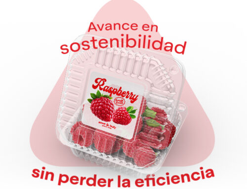 Berries en Latinoamérica: Cómo el empaque puede definir el futuro de una industria en expansión
